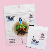 Load image into Gallery viewer, Integra BOOST Terpene Essentials 4 gram: Beta-Caryophyllene