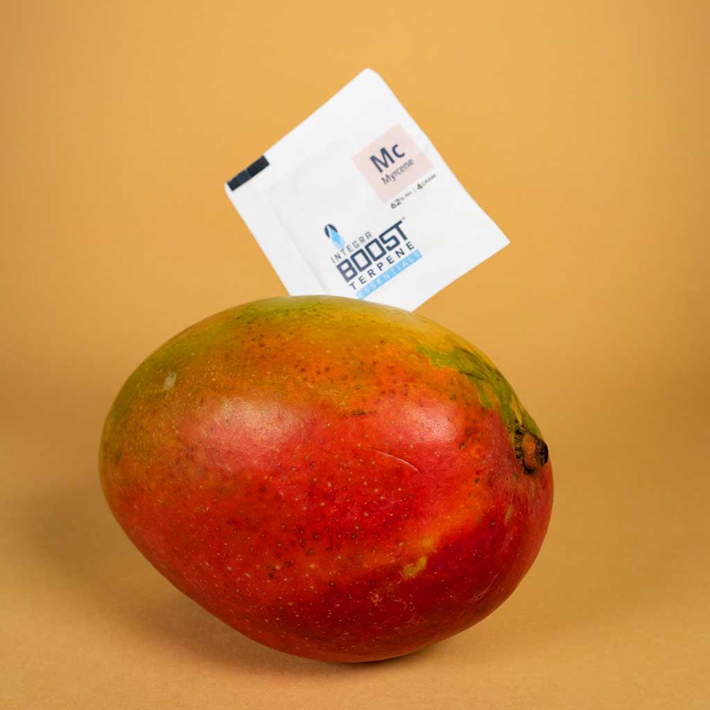 Integra BOOST Terpene Essentials 4 gram: Myrcene