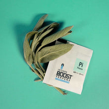 Load image into Gallery viewer, Integra BOOST Terpene Essentials 4 gram: Pinene
